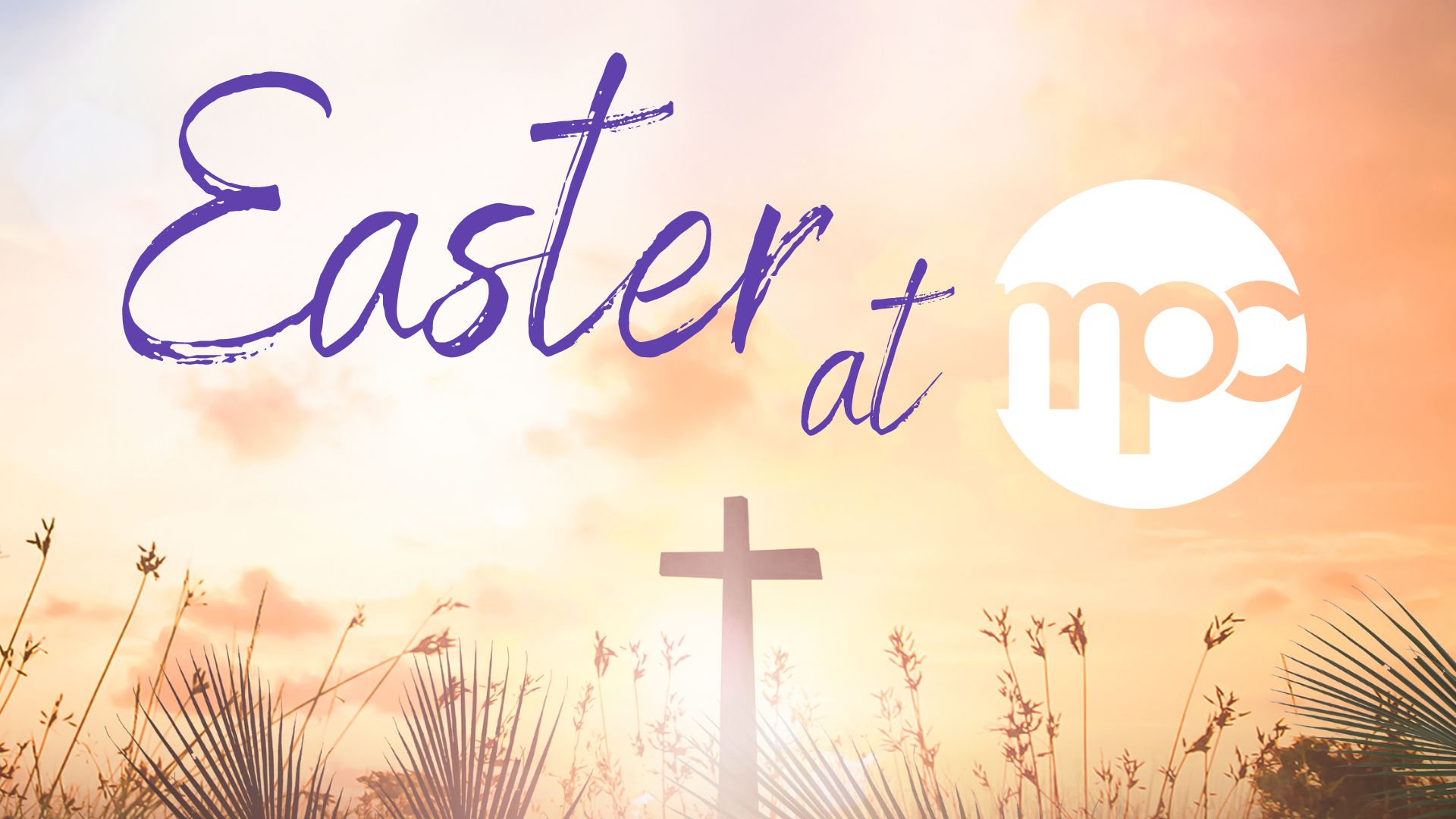 Easter at&nbsp;MPC

Join us as we celebrate the joy and hope of Easter! Click here for all our Easter events and activities!&nbsp;
